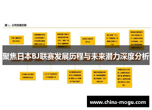 聚焦日本BJ联赛发展历程与未来潜力深度分析